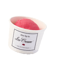Ice Cream Sticker by Herlipto