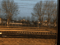 Wundersaar wundersaar GIF