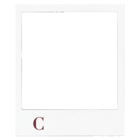 CarmiBelgium fashion photo picture polaroid Sticker