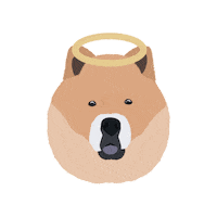Dog Pet Sticker