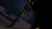 annapurnainteractive annapurnainteractive outerwilds GIF