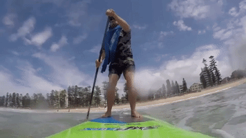 Sick Turtle is Rescued by Paddleboarder at Manly Beach