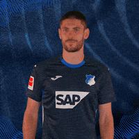 Andrej Kramaric Sport GIF by TSG Hoffenheim