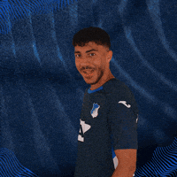 Sport Bundesliga GIF by TSG Hoffenheim