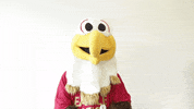 Excited Great Job GIF by Bridgewater College