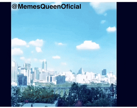 Miss Universe Mexico GIF by Cure Concept