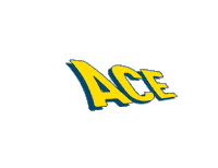 ace nsls Sticker by Modena Volley