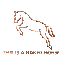 Horse Pony Sticker by NakedHorse