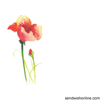 Happy 50Th Anniversary GIF by sendwishonline.com