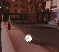 Dance Penguin GIF