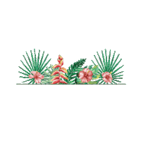 DCWAF cheers wine tropical galentines Sticker