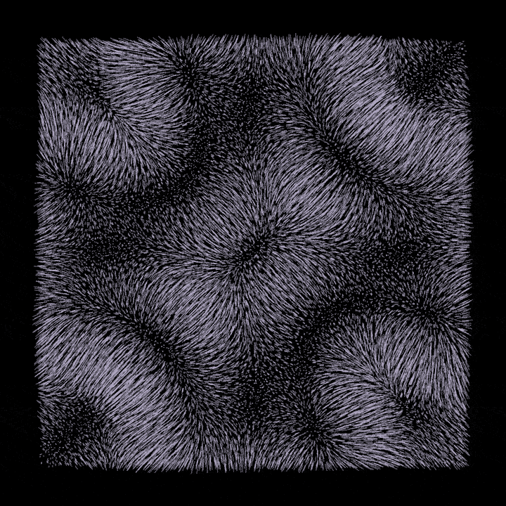 black and white loop GIF by roberthruska