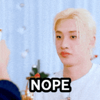 Stray Kids No GIF