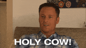 No Way Wow GIF by The Bachelorette