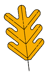 Fall Season Illustration Sticker by katycreates