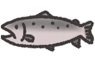Fish Salmon Sticker