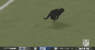 Regular Season Football GIF by NFL