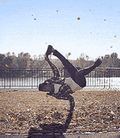 bread da GIF