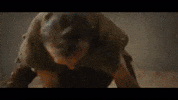 Protection Help GIF by VVS FILMS