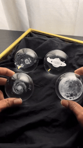 Swillet giphyupload GIF