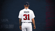 Pro GIF by USA Baseball