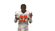Cnfb26 Sticker by Carson-Newman Athletics
