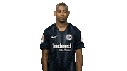 No Way Reaction Sticker by Bundesliga