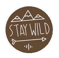 Sport Traveling Sticker by Demic