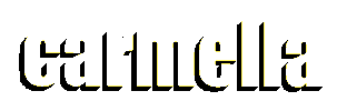 wwe wrestling Sticker