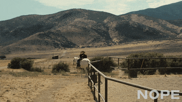 Keke Palmer Steven Yuen GIF by NOPE