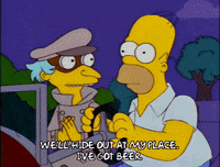 homer simpson episode 20 GIF