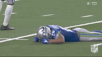 National Football League No GIF by NFL