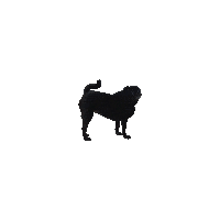 JasonKauz pug pepe pepethepug Sticker