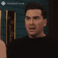 Schitts Creek Comedy GIF by CBC