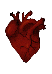 Heart Love Sticker
