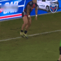 happy fc grenoble GIF by FCG Rugby