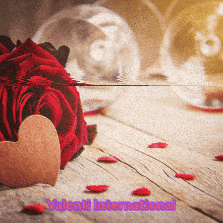 valentiinternational giphygifmaker GIF