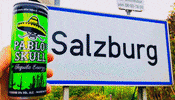 pablosskull dance party relax energy GIF