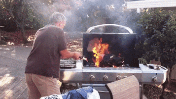 america thanksgiving GIF