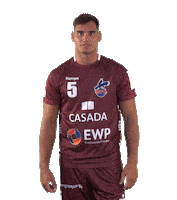 Bundesliga Handball Sticker by 1. VFL Potsdam