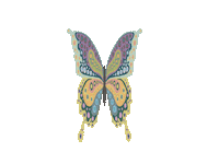 Happy Summer Sticker