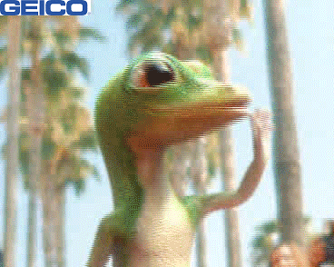 Red Carpet Wave GIF by GEICO