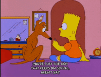 bart simpson episode 20 GIF