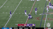 Minnesota Vikings Football GIF by NFL