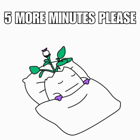 Wake Up No GIF by Magic Eden