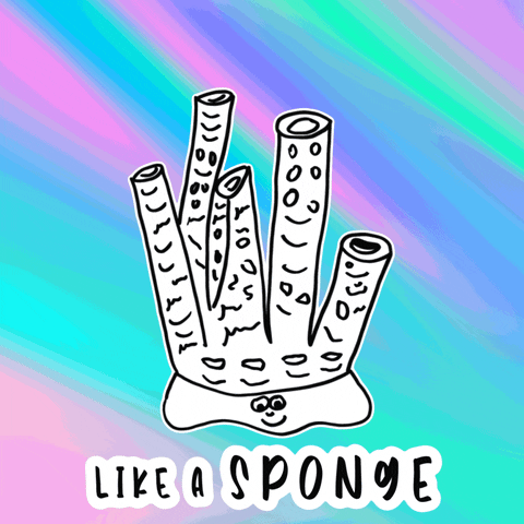 Nft GIF by GaryVee