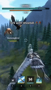 Humming Bird Instagram GIF