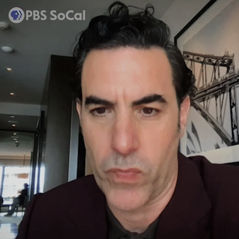 Sacha Baron Cohen GIF by PBS SoCal