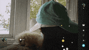 Mystery Lockdown GIF by Sinking Ship Entertainment