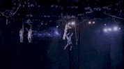 Flip Flying GIF by Ringling Bros. and Barnum & Bailey